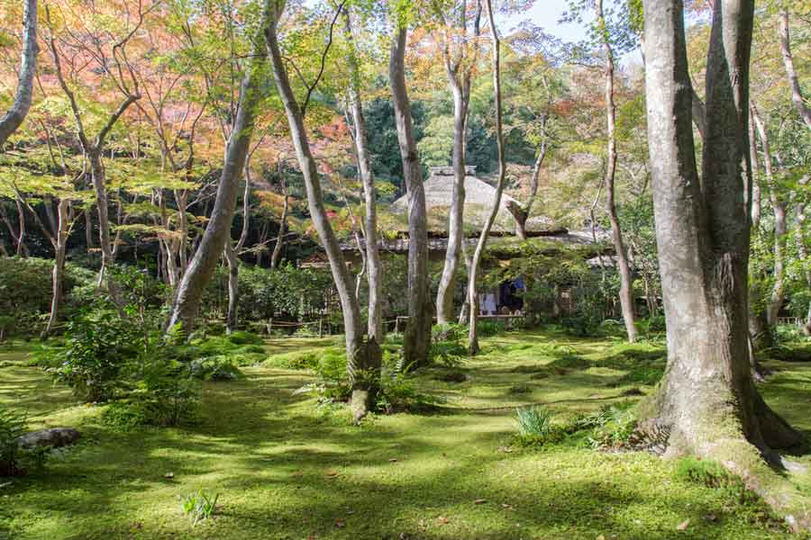 祇王寺