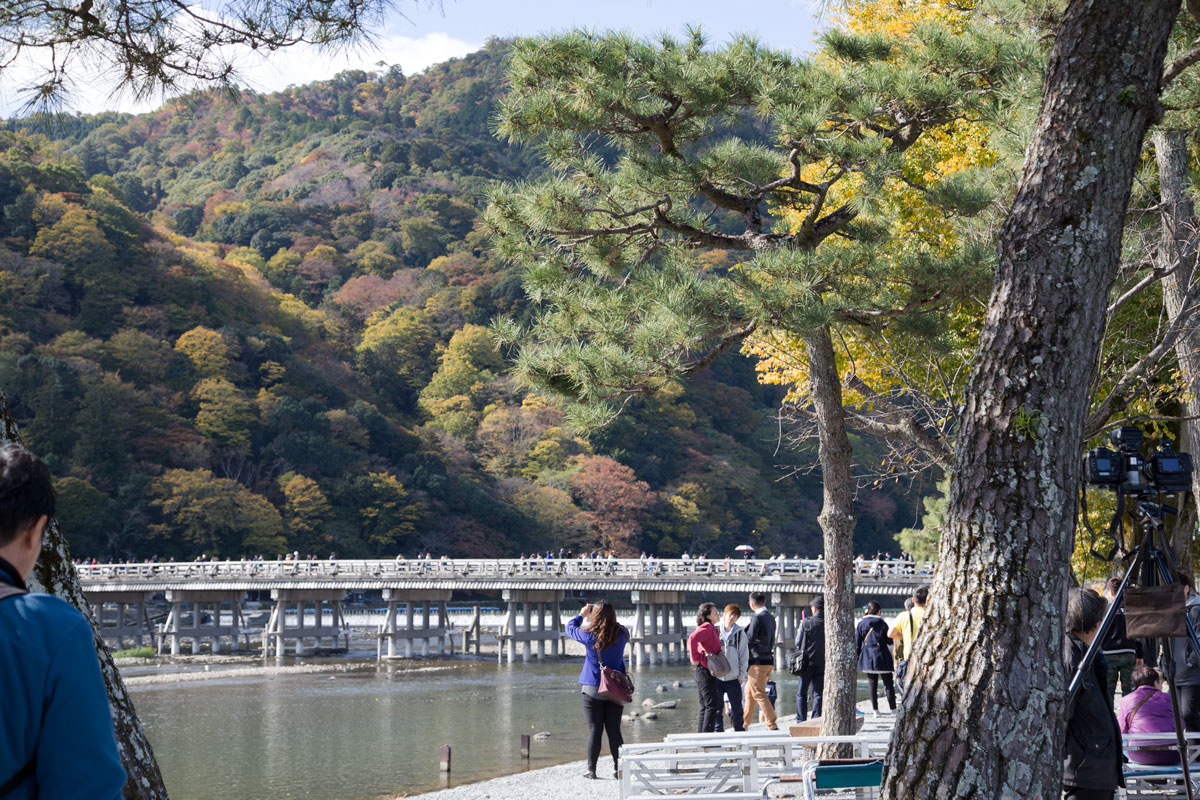 渡月橋