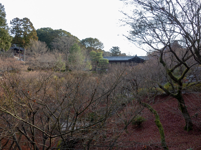 冬の通天橋