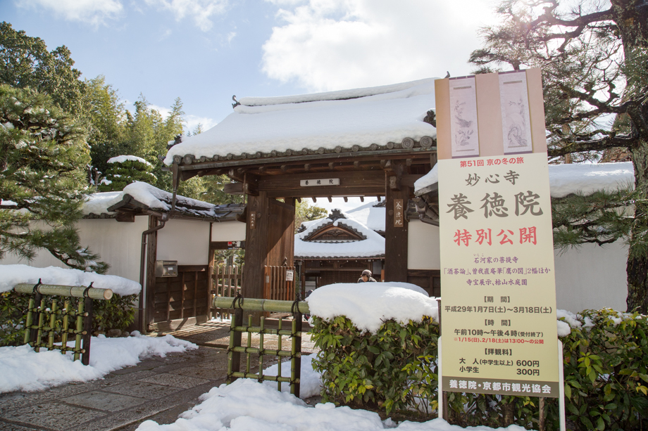 雪の妙心寺　養徳院