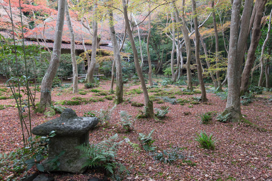 紅葉した祇王寺