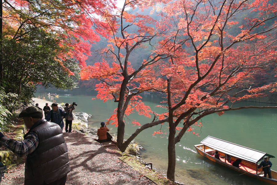 紅葉の嵐山湖河川道路